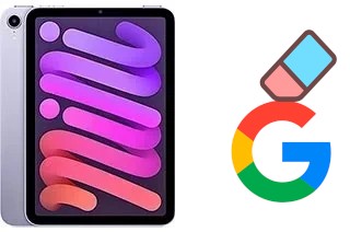 Cómo borrar la cuenta de Google en Apple iPad mini (2021)