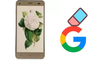 Cómo borrar la cuenta de Google en VC Camellia II