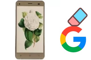 Cómo borrar la cuenta de Google en VC Camellia