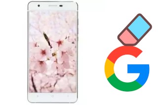 Cómo borrar la cuenta de Google en VC Sakura