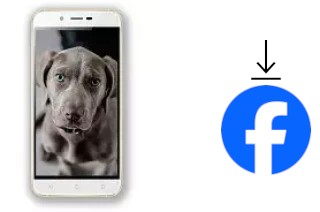 Cómo instalar Facebook en un Siswoo A6 Vanilla