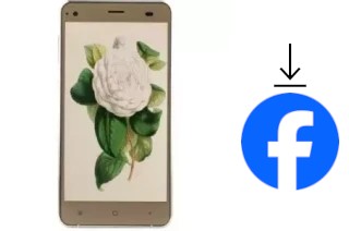 Cómo instalar Facebook en un VC Camellia II