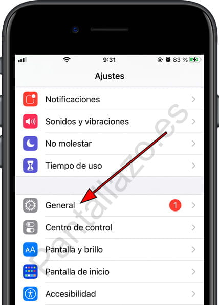 Ajustes generales iPhone