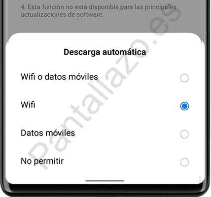 Opciones descarga automática actualización en Realme