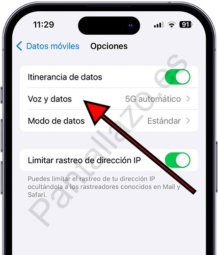 Voz y datos iPhone