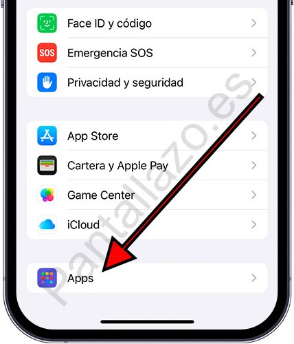 Ajustes de apps iPhone