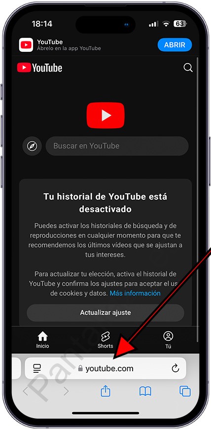 Abrir YouTube en el navegador web