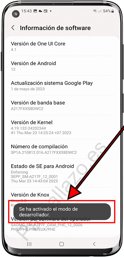 Modo desarrollador activado en Samsung