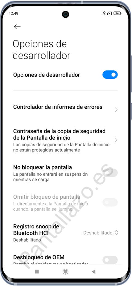 Opciones para desarrolladores activado