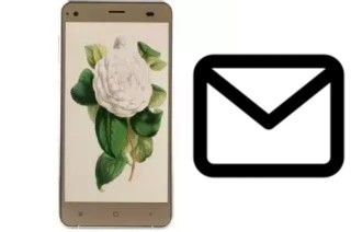 Configurar correo en VC Camellia II