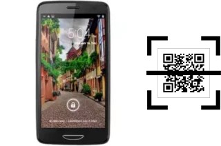 ¿Cómo leer códigos QR en un Changjiang N5300?