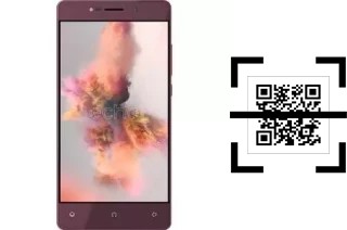 ¿Cómo leer códigos QR en un Echo Holi?