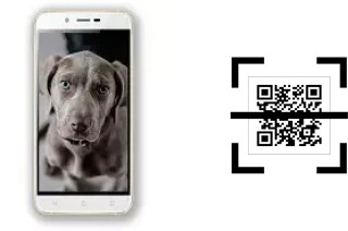 ¿Cómo leer códigos QR en un Siswoo A6 Vanilla?