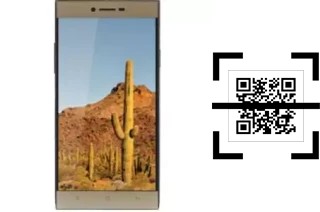 ¿Cómo leer códigos QR en un VC Cactus?