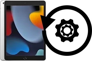 Cómo hacer reset o resetear un Apple iPad 10.2 (2021)