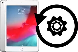 Cómo hacer reset o resetear un Apple iPad mini (2019)