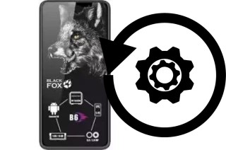 Cómo hacer reset o resetear un Black Fox B6