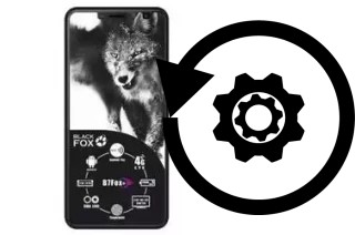 Cómo hacer reset o resetear un Black Fox B7