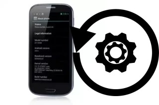 Cómo hacer reset o resetear un Feiteng GT-N9300