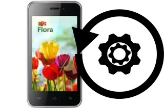 Cómo hacer reset o resetear un KENEKSI Flora