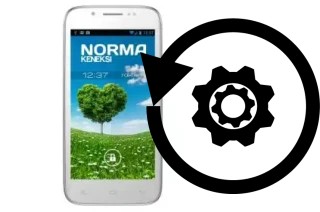 Cómo hacer reset o resetear un KENEKSI Norma