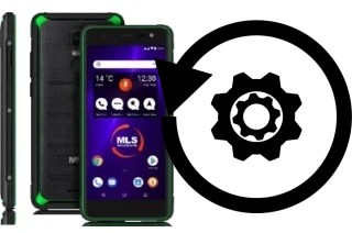 Cómo hacer reset o resetear un MLS Apollo P10