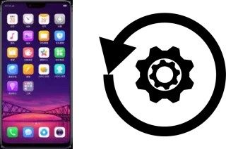 Cómo hacer reset o resetear un Oppo R15 Dream Mirror