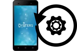 Cómo hacer reset o resetear un Oysters Pacific E