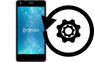 Cómo hacer reset o resetear un Oysters Pacific I4G