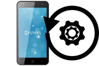 Cómo hacer reset o resetear un Oysters Pacific V