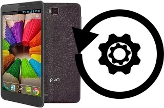 Cómo hacer reset o resetear un Plum Coach Pro