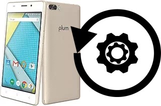 Cómo hacer reset o resetear un Plum Compass LTE