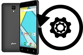 Cómo hacer reset o resetear un Plum Compass