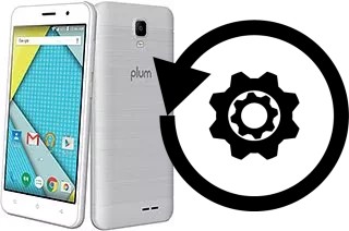 Cómo hacer reset o resetear un Plum Compass 2