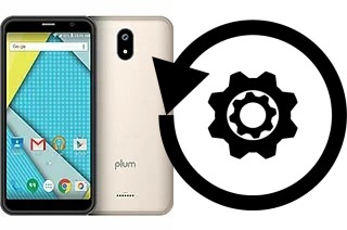 Cómo hacer reset o resetear un Plum Phantom 2