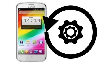 Cómo hacer reset o resetear un QSmart S53