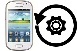 Cómo hacer reset o resetear un Samsung Galaxy Fame S6810