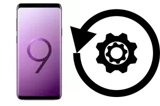 Cómo hacer reset o resetear un Samsung Galaxy S9 Exynos