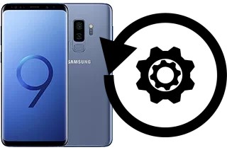 Cómo hacer reset o resetear un Samsung Galaxy S9+