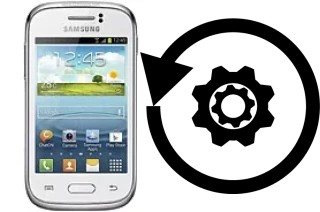 Cómo hacer reset o resetear un Samsung Galaxy Young S6310