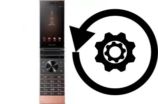 Cómo hacer reset o resetear un Samsung W2019