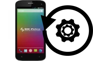 Cómo hacer reset o resetear un SKK Phoenix G1