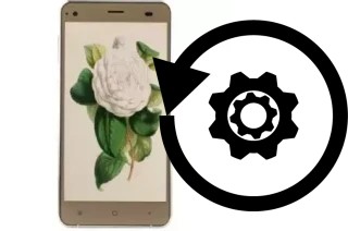 Cómo hacer reset o resetear un VC Camellia II