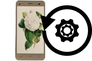 Cómo hacer reset o resetear un VC Camellia