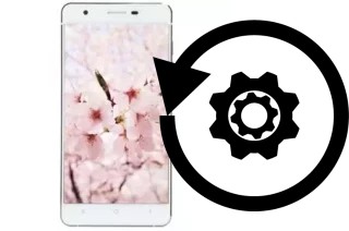 Cómo hacer reset o resetear un VC Sakura