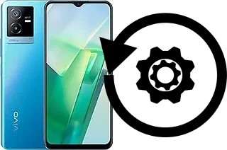 Cómo hacer reset o resetear un vivo T2x