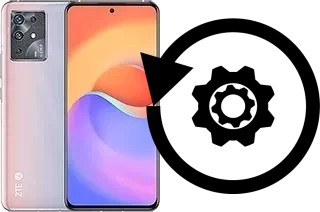 Cómo hacer reset o resetear un ZTE S30 Pro