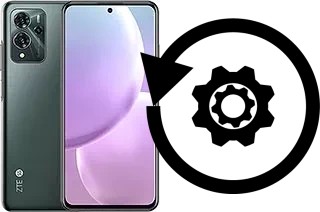 Cómo hacer reset o resetear un ZTE Voyage 20 Pro