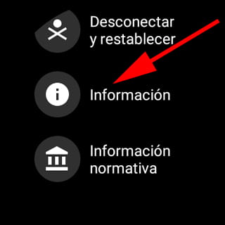 Información WearOS