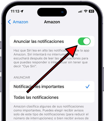 Activar anunciar notificaciones iOS